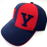 Gorra de Béisbol de Algodón de 6 Paneles con Bordado 3D en Dos Tonos, Estilo Moderno, Personalizable con Logotipo, para Equipos Deportivos, para Hombre