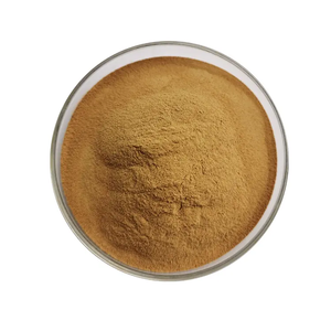 Chất lượng cao phù thủy Hazel chiết xuất hamamelis chiết xuất bột - Product Image 3