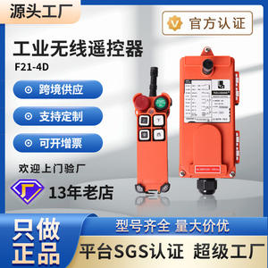 Pont roulant à poutre simple Yudingwei F21-4D, palan électrique, télécommande sans fil industrielle, équipement électrique - Product Image 3