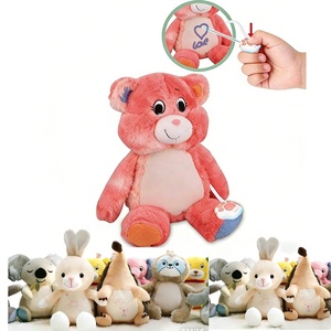 Nuovo Giocattolo 2026: Bambola Magica Sensibilizzante per Disegnare, Orsetto Morbido OEM, Peluche Magico per Disegnare - Product Image 1