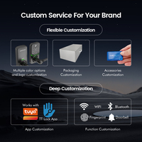 Serrure intelligente de sécurité Tuya Wifi avec mot de passe, carte RFID IC, poignée numérique TTlock, serrure de porte intelligente