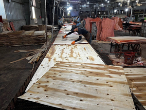 Línea de Producción de Madera Contrachapada YUEQUN, Máquina Pavimentadora Venener para Paneles a Base de Madera, Maquinaria Nueva - Product Image 3