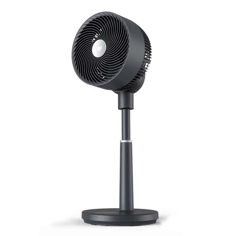 standfansafeforchildren