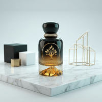 Flacon de parfum en verre de luxe personnalisé, diffuseur à bâtonnets 30ML 50ML 100ML, couleur dégradée noire givrée pour parfum de luxe sur mesure