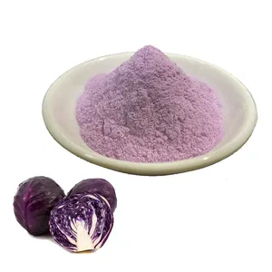 Rongsheng purple powder excellent pigment red cabbage color leaf extracts food food  grade drum
