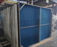 Radiateur à tubes à ailettes en acier inoxydable de qualité alimentaire pour déshydrateur alimentaire et équipement de séchage