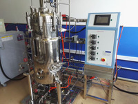 Bioréacteur biologique avec fonction de stérilisation, système de fermentation pour essai pilote en biotechnologie