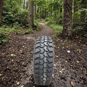 Neumáticos RS25 para Lodo y Nieve, Aptos para Camionetas Pickup y SUVs en Condiciones de Carretera Difíciles, Camioneta Ligera <span class=keywords><strong>265</strong></span>/<span class=keywords><strong>65R17</strong></span>. - Product Image 1