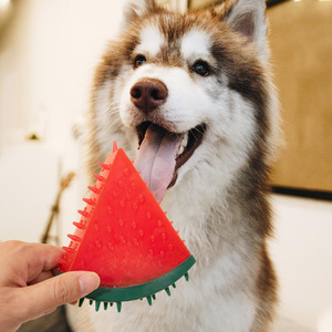 Juguetes sonoros de TPR para mascotas con forma de sandía y piña, realistas, de gran venta transfronteriza, juguetes para masticar para la dentición, juguetes de frutas para perros - Product Image 1