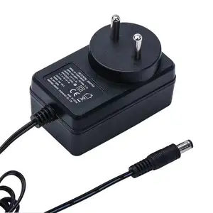 CCTV Video için evrensel 24W beyaz güç adaptörü 12V 2A hint fiş LED şerit aydınlatma DC çıkış tipi Plug-In bağlantısı