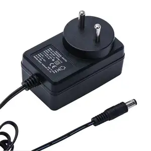 Universal 24 W weißer Power Adapter 12 V 2 A Indische Steckdose für CCTV Video LED Streifenbeleuchtung Gleichstrom-Ausgang Typ Steckdose-Anschluss