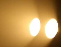 200W 2 Yeux COB Par Lumière Blanc Chaud Blanc Froid 2in1 Intérieur En Aluminium Public Blinder Effet Led Stage Light