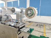 Machine de fabrication de patchs chauffants automatiques et stables pour soulager les douleurs menstruelles et les douleurs générales