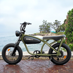 Bicicletta Elettrica Retrò da 20 Pollici, Fatbike Vintage con Motore Bafang 750W 48V, Bici Elettrica da Città e Fuoristrada - Product Image 1