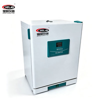 Hot Sale 65L Natural Convection Smart Fully Automatic Incubator for Lab Test