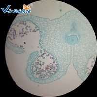 100 Uds. Microscopio de biología diapositivas preparadas microscopio biología diapositivas educativas fábrica de diapositivas preparadas biológicas