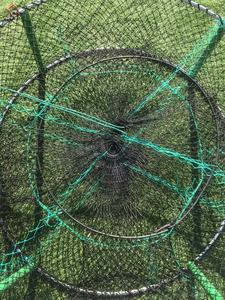 Piège de pêche agricole professionnel de style britannique piège à crevettes et à homard fabriqué à partir de filet en nylon durable en <span class=keywords><strong>Australie</strong></span> - Product Image 4