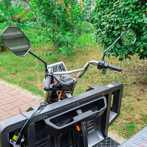 Tricycles électriques Mingko Cargo Bike à 3 roues 60V 2000KG 14 pouces Moto électrique Tricycles électriques - Product Image 6