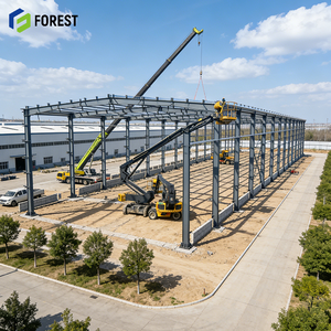 Edificio de Centro Logístico Prefabricado Confiable, Estructura de Acero de Alta Resistencia, Nave Industrial de Gran Envergadura, Almacén, Escuela, Apartamento - Product Image 1