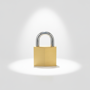 Cadenas antivol personnalisé avec logo, en laiton massif de 30 mm, type D, à double levier, avec clé primaire et secondaire, en acier - Product Image 4