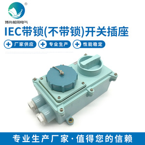 Enchufe Industrial Marino RSIL2-2 en Existencia 792772IEC Enchufes y Tomas de Corriente con Interruptor Bloqueable (No Bloqueable) - Product Image 4