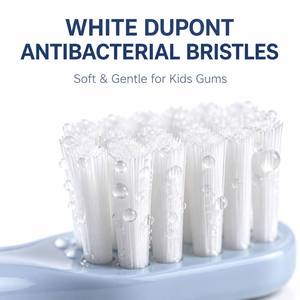 Brosse à dents sonique pour enfants OEM, Cepillo Dental Infantil, 18 000 VPM, 95 jours, IPX7, 500 mAh, Type-C, <span class=keywords><strong>Hippo</strong></span> Blue Pink CH-916 - Product Image 3