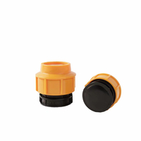 Femelle PP Double Union Ball Valve PN16 Raccords de Compression Connecteurs d'accouplement rapide Eau PE Poly HDPE Plastique pour tuyau