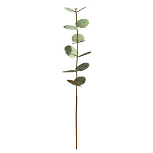 Fleur d'eucalyptus artificielle Yihua Floral Art, plante en soie, décoration intérieure, salon, style français, vert et blanc - Product Image 5