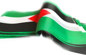 Promoción personalizada 14*21 cm bandera decorativa interior y exterior personalizada banderines palestinos Palestina cadena bandera - Product Image 3
