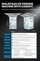 Système de fabrication, emballage et vente automatique de glace 24h/24 et 7j/7, kiosque à glace en sachets sans personnel, distributeur de glace extérieur avec auvent
