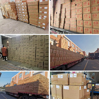 Combinaison de Snacks Exotiques à Succès, Chips Japonaises et Gourmandises Chinoises de Noël des États-Unis en Gros
