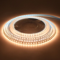 Bande lumineuse LED flexible en cuivre intelligente IP68 SMD2835 24V pour l'éclairage paysager avec télécommande