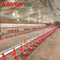 10000 maisons de poulet de volaille système de ligne d'alimentation automatique pour poulets de chair 5000 poulets équipement d'élevage de ferme Machine d'alimentation pour