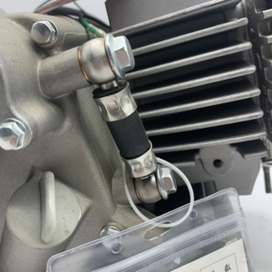 Moteur monocylindre W190 refroidi par huile avec démarreur pour moto à essence économique pour adultes - Product Image 5