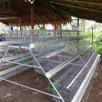 Cage à poules pondeuses de type 3 à 96 niveaux pour ferme avicole commerciale