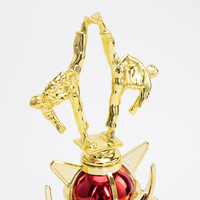 Premios y Trofeos de Plástico de Diseño Personalizado para Eventos de Artes Marciales de Wushu, Taekwondo, Karate y Boxeo Coreano AD71