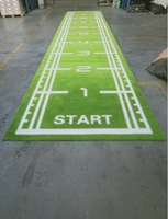 Tapis de gazon synthétique haute densité pour piste de luge, tapis de gazon artificiel pour zone d'entraînement en salle de sport