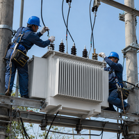 Transformateur immergé dans l'huile triphasé MT/HT à noyau en alliage amorphe 1800KVA 3000KVA, bobinage en aluminium, type distribution