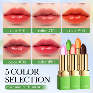 OEM SADOER Etiqueta Privada coreana multicolor lápiz labial belleza cosmética gran oferta descuento impermeable 24H mate y brillante lápiz labial - Product Image 2