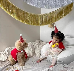 Ins fait à la main coloré métallique clinquant court feuille bannière <span class=keywords><strong>frange</strong></span> <span class=keywords><strong>rideau</strong></span> scène fond décoration murale - Product Image 2