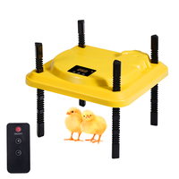 Chauffe-poussins électrique pour volailles, plaque chauffante réglable pour poussins, en vente