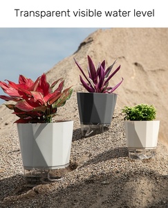 Pot de fleurs en résine plastique auto-absorbant sans arrosage, pot de un gallon pour <span class=keywords><strong>plantes</strong></span> succulentes, orchidées, roses, <span class=keywords><strong>plantes</strong></span> de <span class=keywords><strong>balcon</strong></span>, vente en gros - Product Image 6