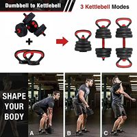 Vente en gros d'haltères de fitness 2 en 1, 10kg à 50kg, ensemble d'haltères Kettlebell réglables en ciment pour la musculation