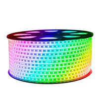 Ruban LED RGB Étanche IP65 5050, 16 Couleurs, 220V/110V, avec Télécommande pour Éclairage de Corde RGB d'Entrepôt
