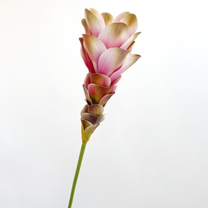 <span class=keywords><strong>Flores</strong></span> <span class=keywords><strong>Artificiales</strong></span> de Jengibre con Tacto Real, Plantas Tropicales para Decoración del Hogar y Arreglos de Boda - Product Image 2