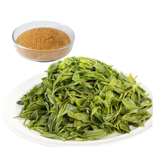 Factory Price Wholesale Bulk 98% Green Tea Extract Powder Green Tea Polyphenols
