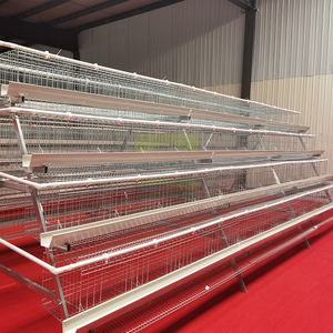 กรงไก่ 4 ชั้น 4 ประตู แบบชุบสังกะสีร้อน พร้อมระบบเก็บไข่อัตโนมัติ สำหรับฟาร์มสัตว์ปีก - Product Image 2