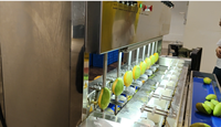 Industriële PLC-gestuurde hoog-efficiënte SUS 304 roestvrijstalen schilmachine voor mango, aardappel en gedroogd fruit, CE Gofun gecertificeerd
