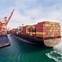 Entreprise de logistique internationale la plus professionnelle par voie aérienne et agent d'expédition express DDP DDU vers le Moyen-Orient, expédition à Dubaï