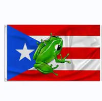 Wholesale Custom Funny Flags for Rooms 
